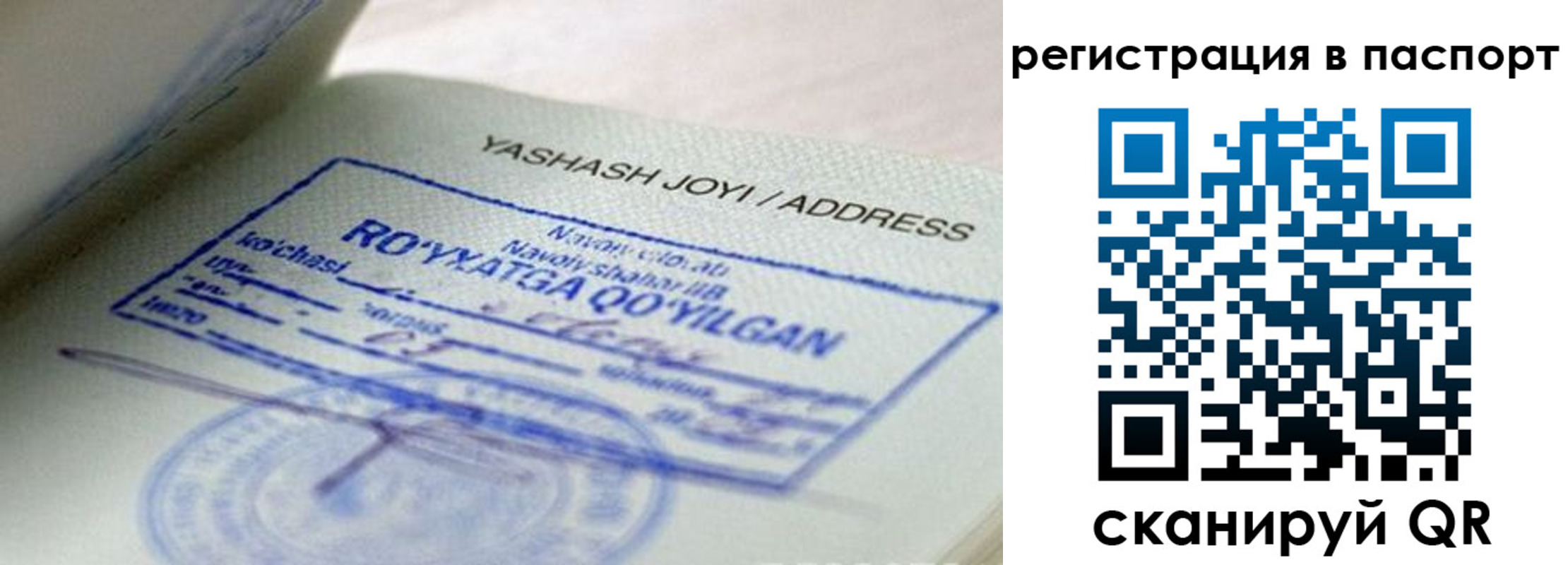 временная регистрация надежно в Камызяке